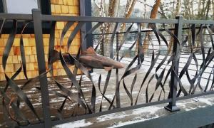 Artistic Railing with Fish Scene