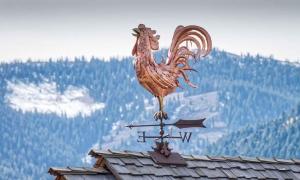 Wind Vane